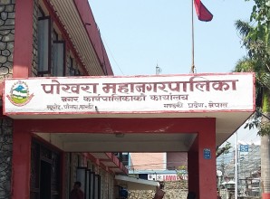 पोखरामा एमालेले मेयरको टिकट खोसेको पौडेलको वडा पनि गुमायो